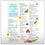 Older Adult Healthy Eating from Head to Toe Handouts