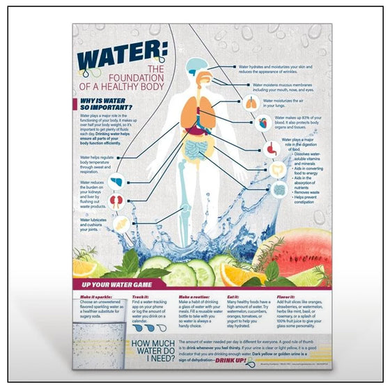Water: The Foundation of a Healthy Body (Poster)